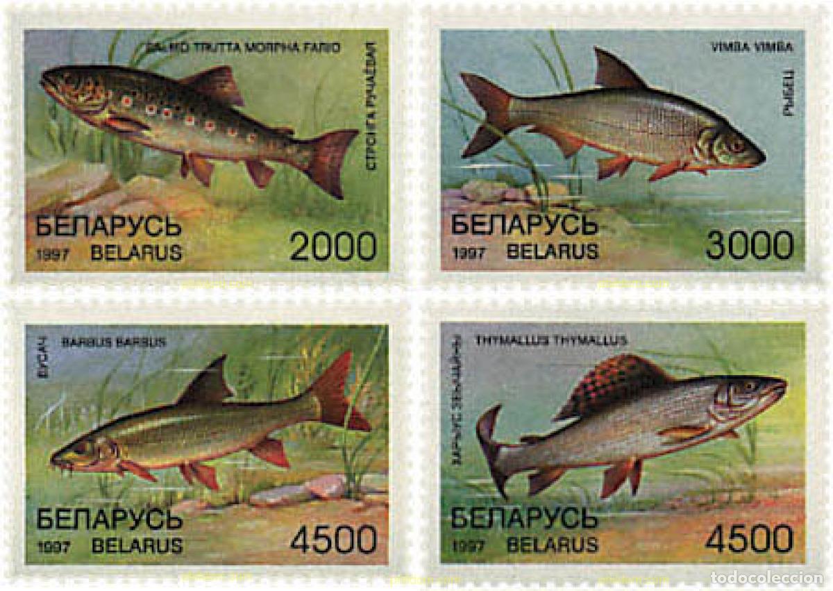 Sellos: 84195 MNH BIELORRUSIA 1997 PECES