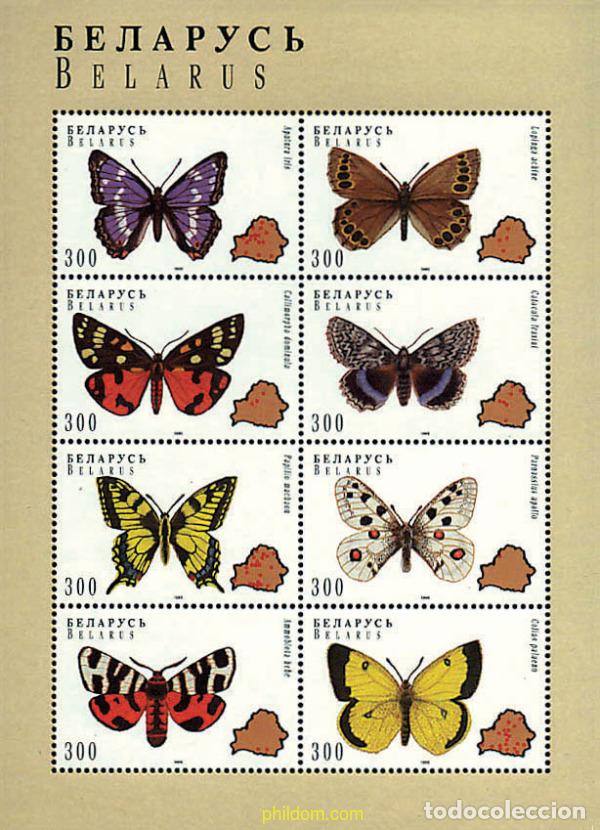 Sellos: 291800 MNH BIELORRUSIA 1996 MARIPOSAS