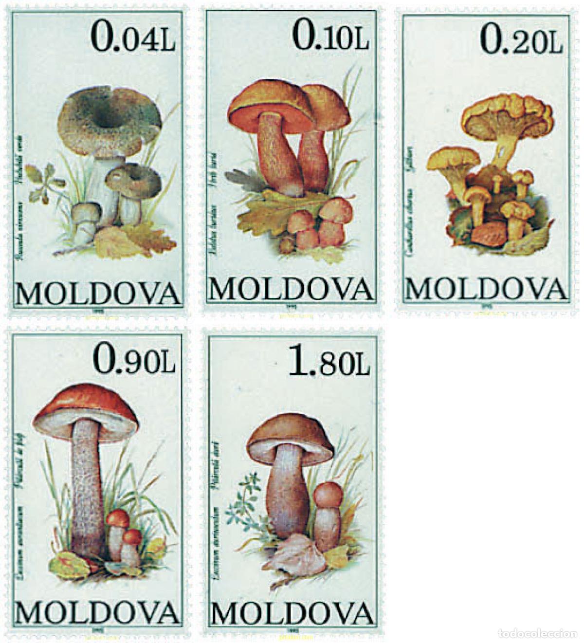 Sellos: 61512 MNH MOLDAVIA 1995 SETAS