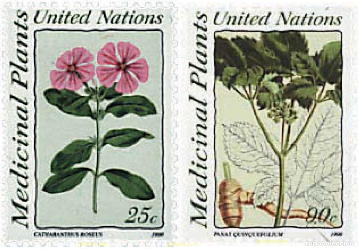 Sellos: 94434 MNH NACIONES UNIDAS. Nueva York 1990 PLANTAS MEDICINALES