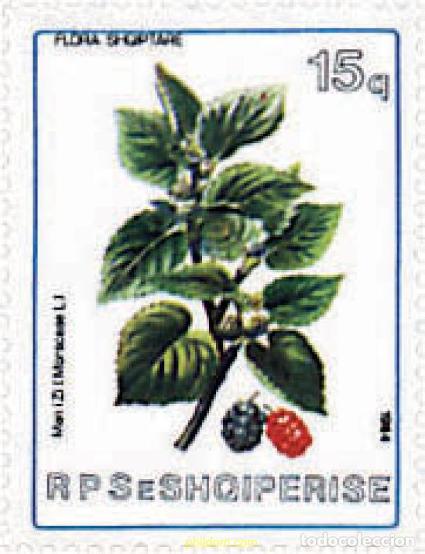 Sellos: 340707 MNH ALBANIA 1984 FLORA ALBANESA