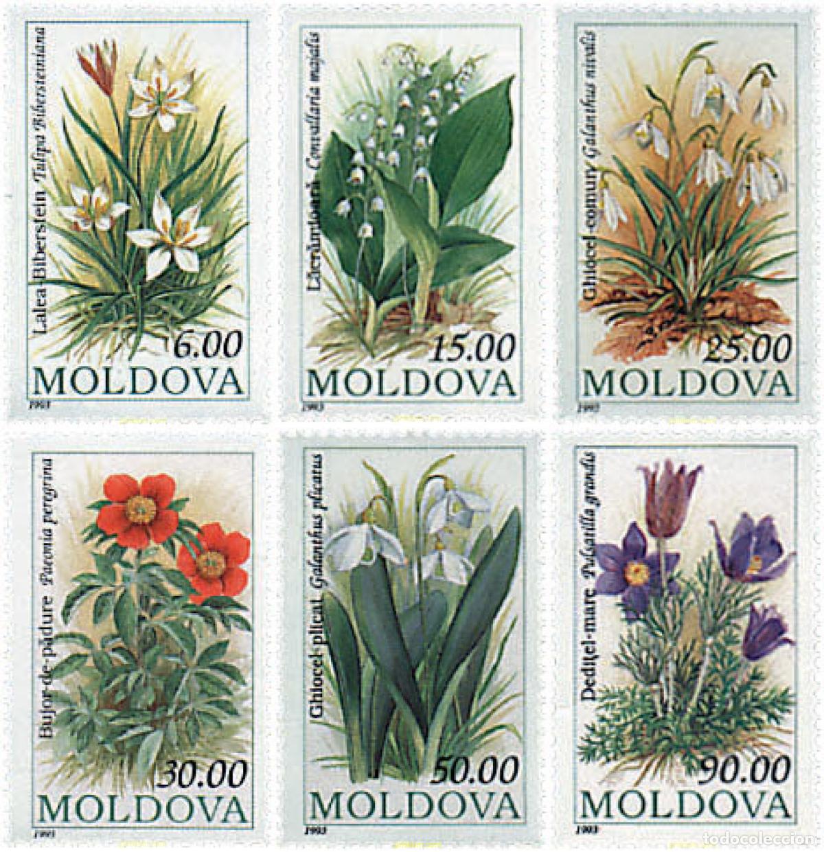 Sellos: 95501 MNH MOLDAVIA 1993 FLORES