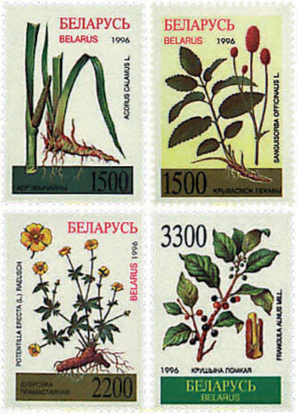 Sellos: 84153 MNH BIELORRUSIA 1996 PLANTAS MEDICINALES
