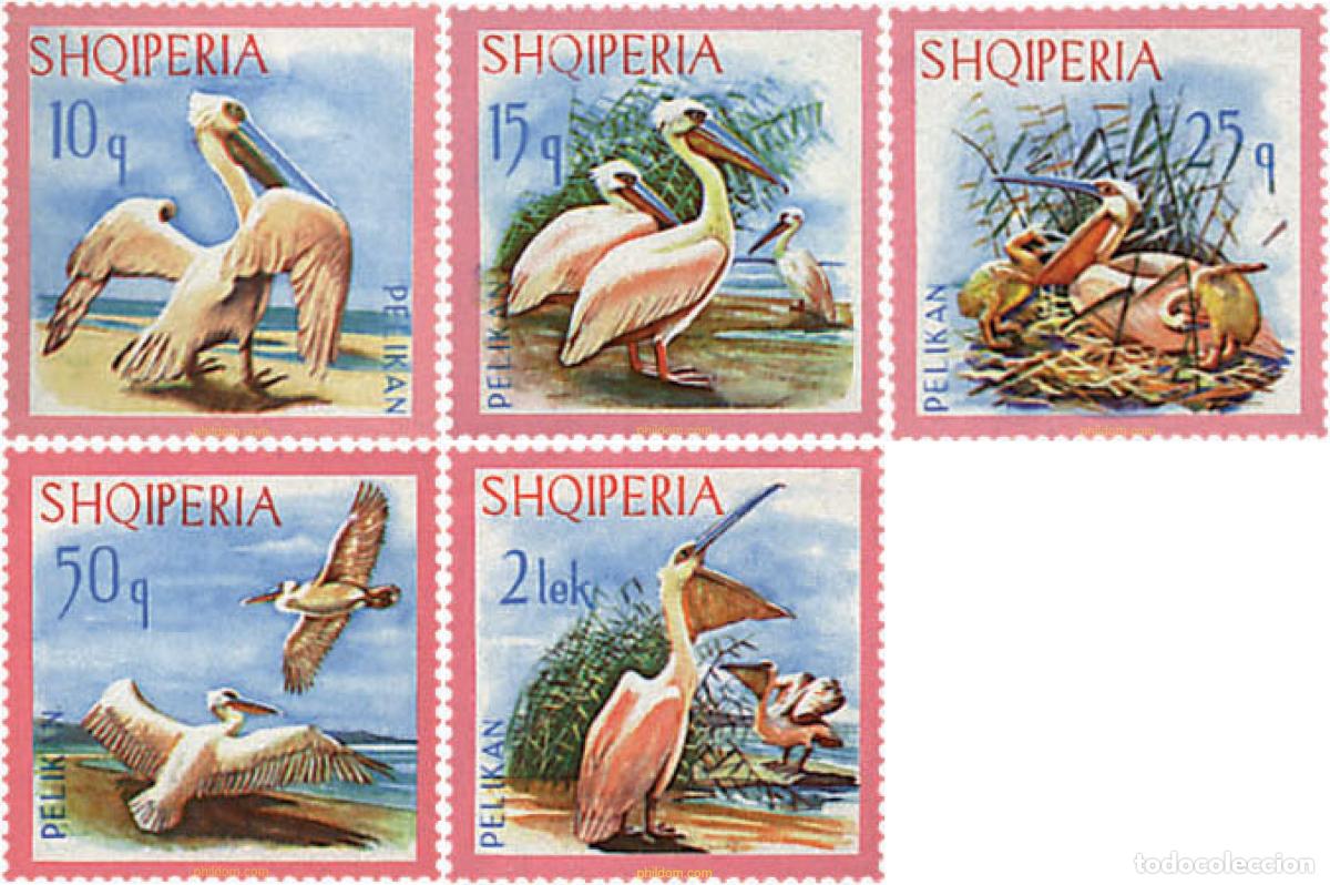 Sellos: 78173 MNH ALBANIA 1967 PELICANO COMUN