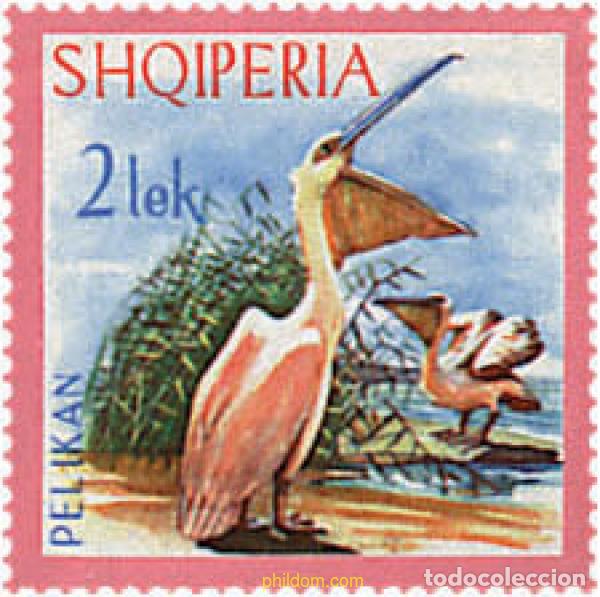Sellos: 680989 MNH ALBANIA 1967 PELICANO COMUN