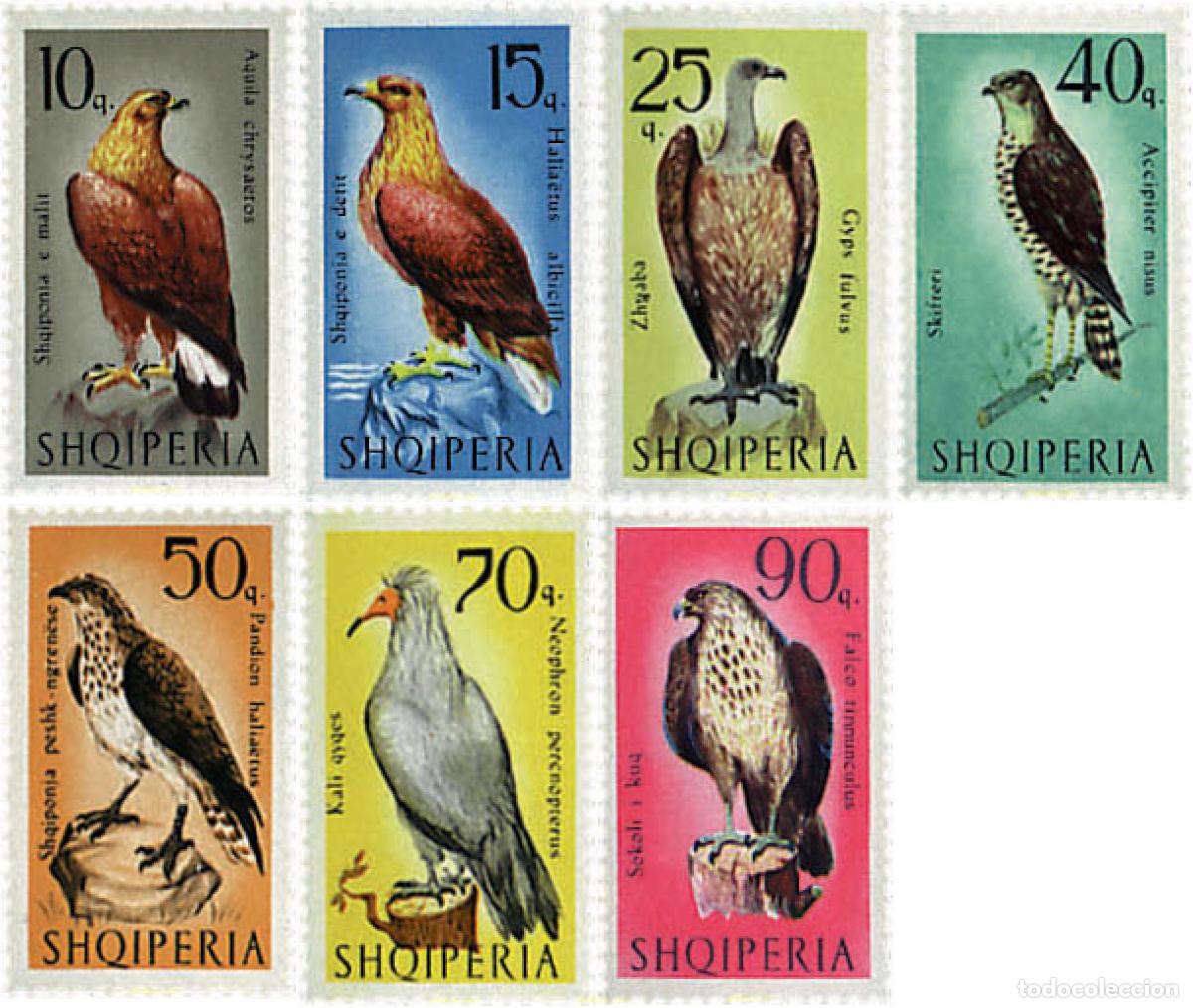 Sellos: 680987 HINGED ALBANIA 1966 AVES DE PRESA