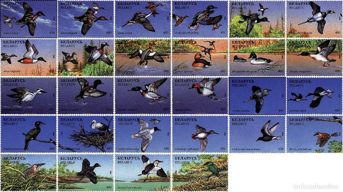 Sellos: 84159 MNH BIELORRUSIA 1996 AVES ACUATICAS