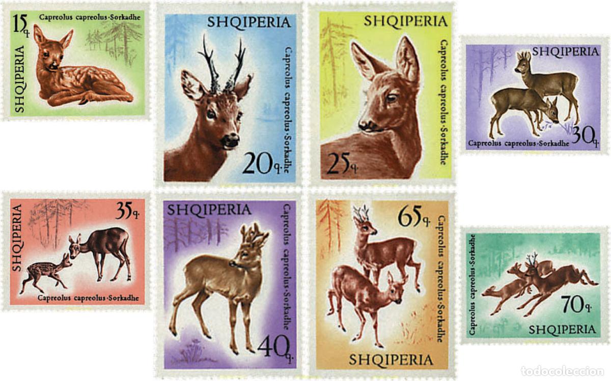 Sellos: 78175 MNH ALBANIA 1967 CIERVOS