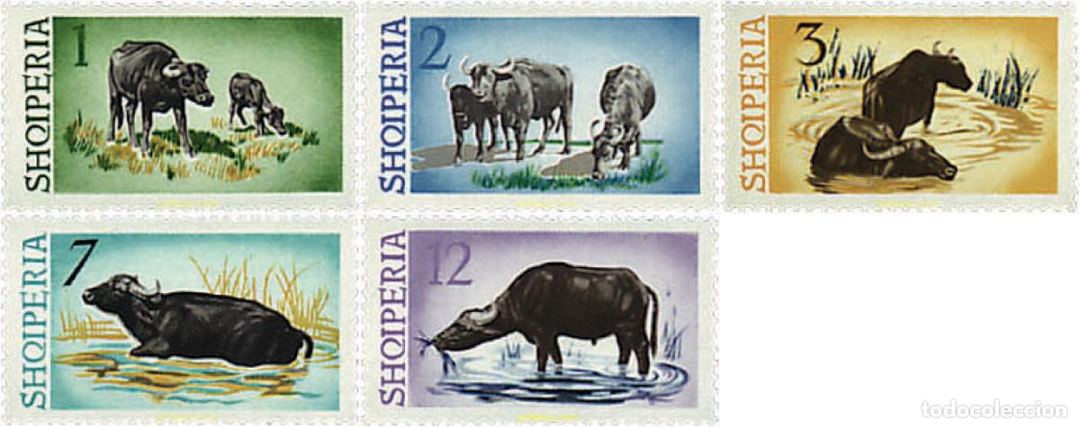Sellos: 78124 MNH ALBANIA 1965 BUFALOS DE LAS MARISMAS