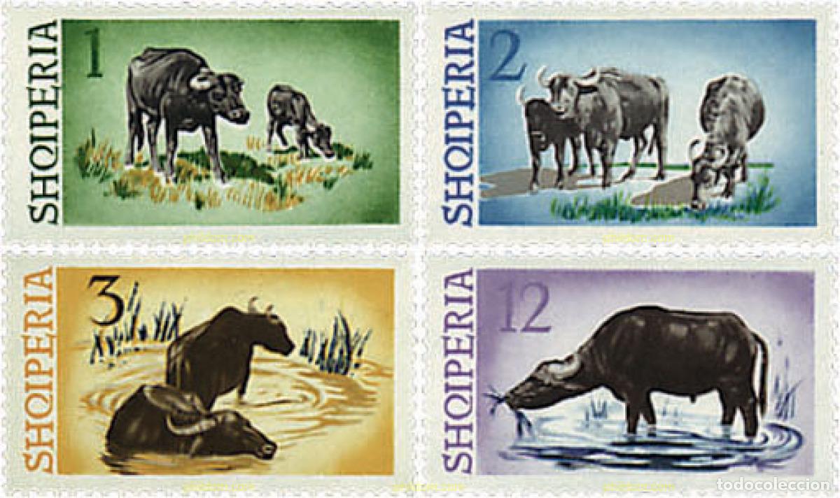 Sellos: 680820 MNH ALBANIA 1965 BUFALOS DE LAS MARISMAS