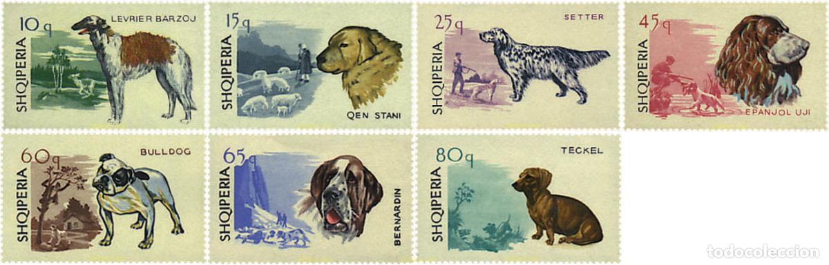 Sellos: 78157 MNH ALBANIA 1966 PERROS DE RAZA
