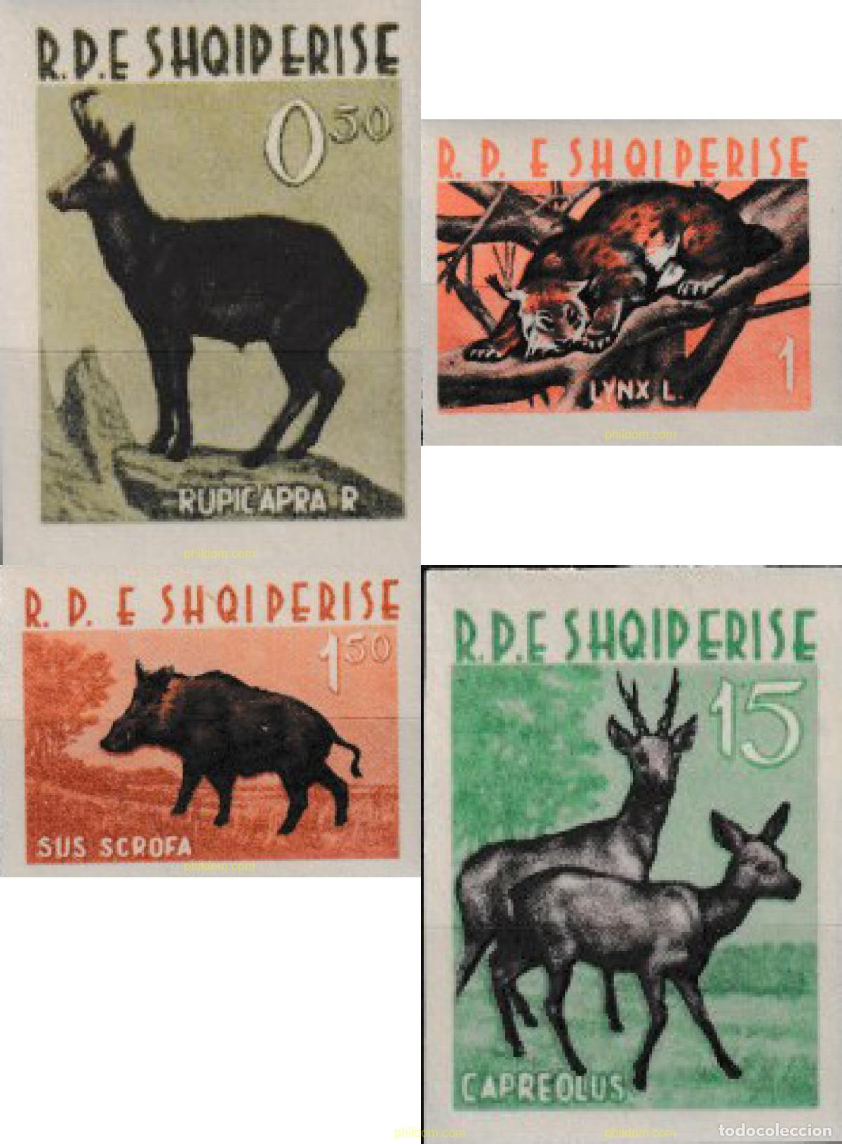Sellos: 609727 MNH ALBANIA 1962 FAUNA