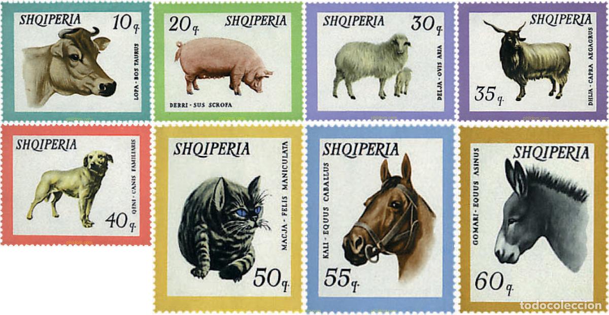 Sellos: 78131 MNH ALBANIA 1966 ANIMALES DOMESTICOS