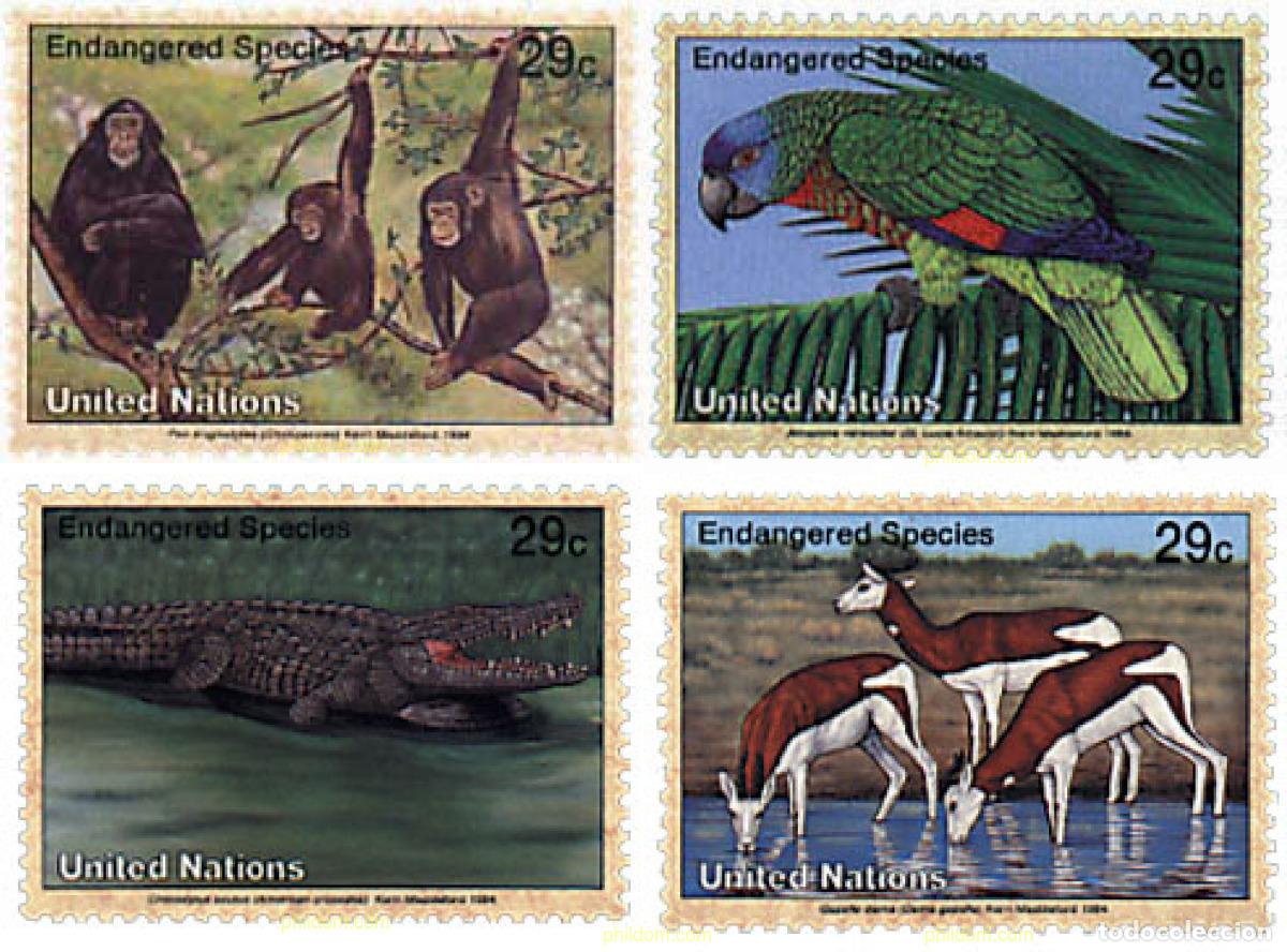 Sellos: 35438 MNH NACIONES UNIDAS. Nueva York 1994 PROTECCION DE LA NATURALEZA