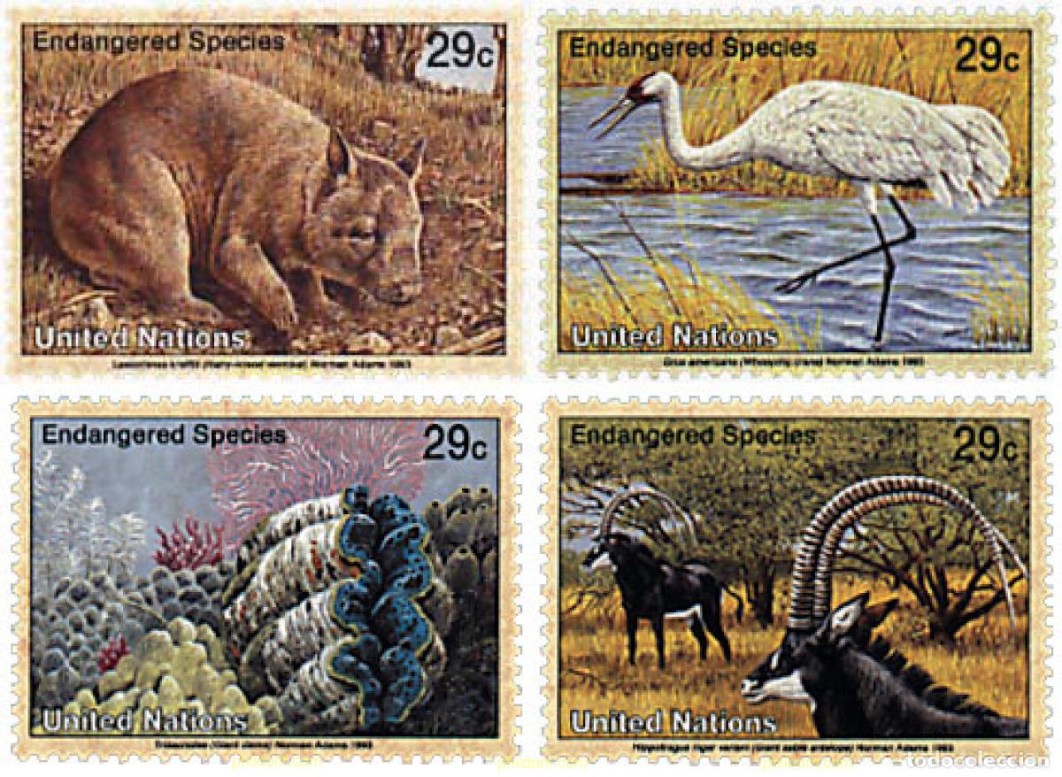 Sellos: 158708 MNH NACIONES UNIDAS. Nueva York 1993 PROTECCION DE LA NATURALEZA