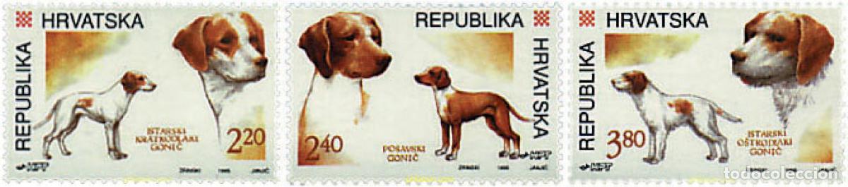 Sellos: 67412 MNH CROACIA 1995 PERROS DE RAZA