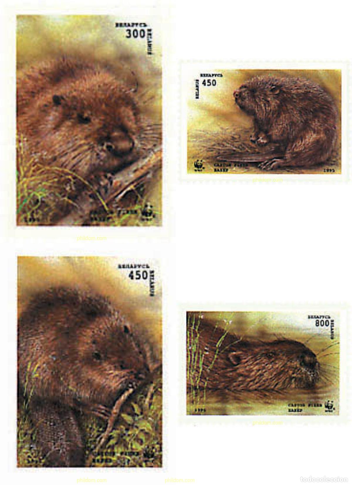 Timbres: 84130 MNH BIELORRUSIA 1995 FAUNA PROTEGIDA. CASTOR