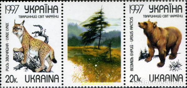 Sellos: 241901 MNH UCRANIA 1997 FAUNA SALVAJE - OSOS