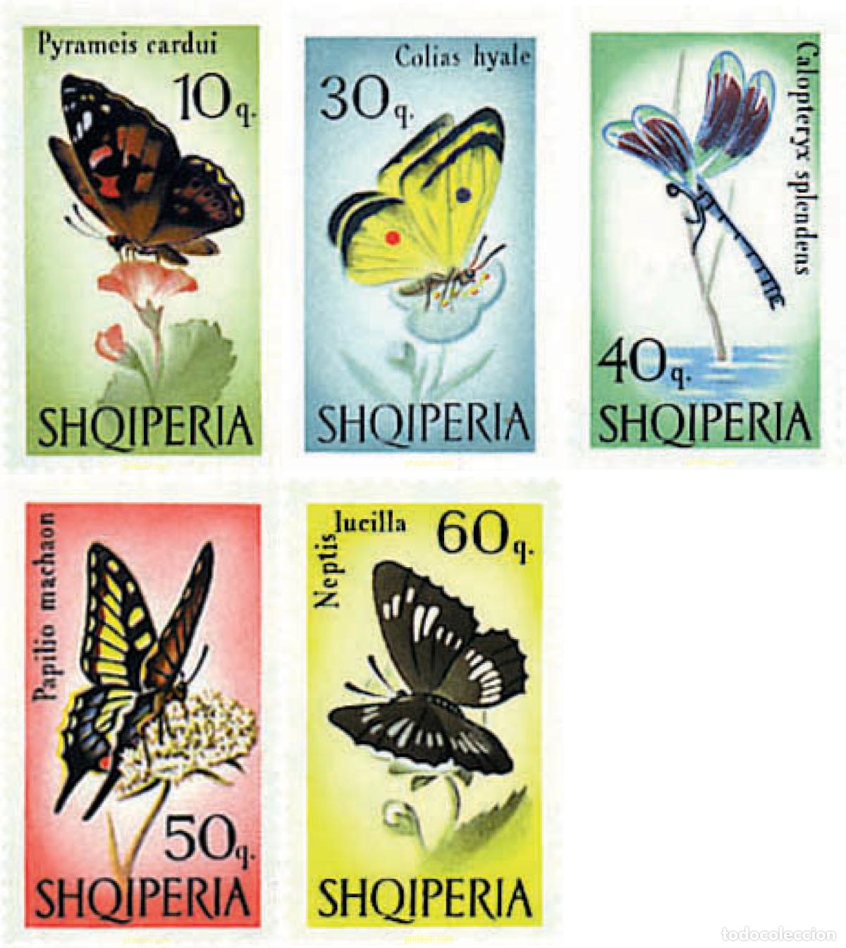 Sellos: 680970 MNH ALBANIA 1966 MARIPOSAS Y LIBELULAS