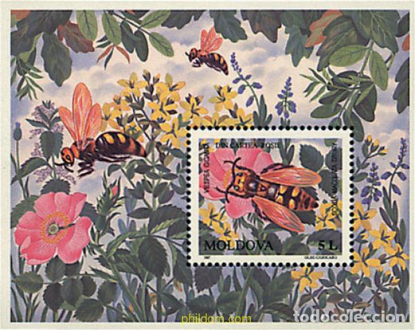 Sellos: 95503 MNH MOLDAVIA 1997 INSECTOS