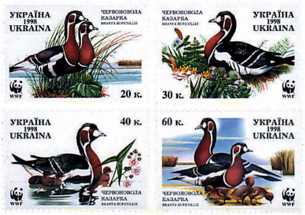 Sellos: 75125 MNH UCRANIA 1998 BARNACLA CUELLIROJA