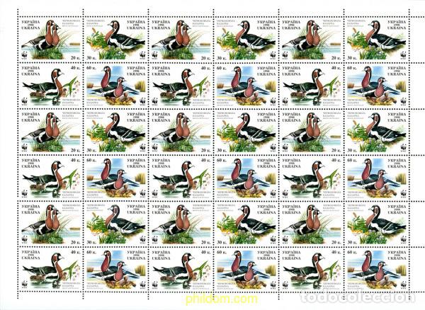 Sellos: 185362 MNH UCRANIA 1998 BARNACLA CUELLIROJA