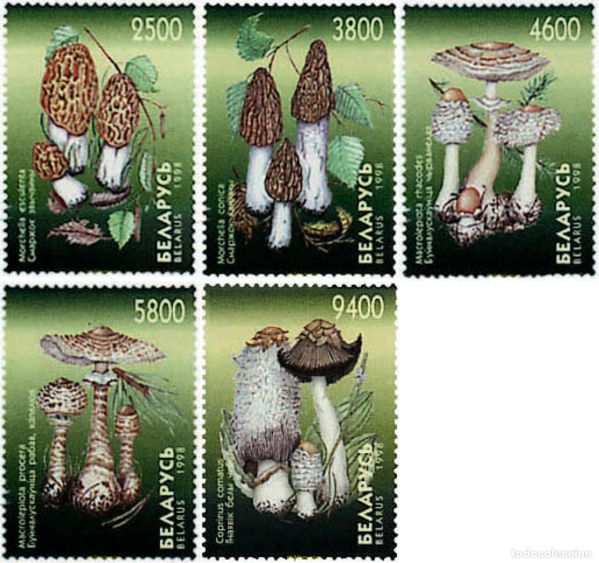 Sellos: 84435 MNH BIELORRUSIA 1998 SETAS