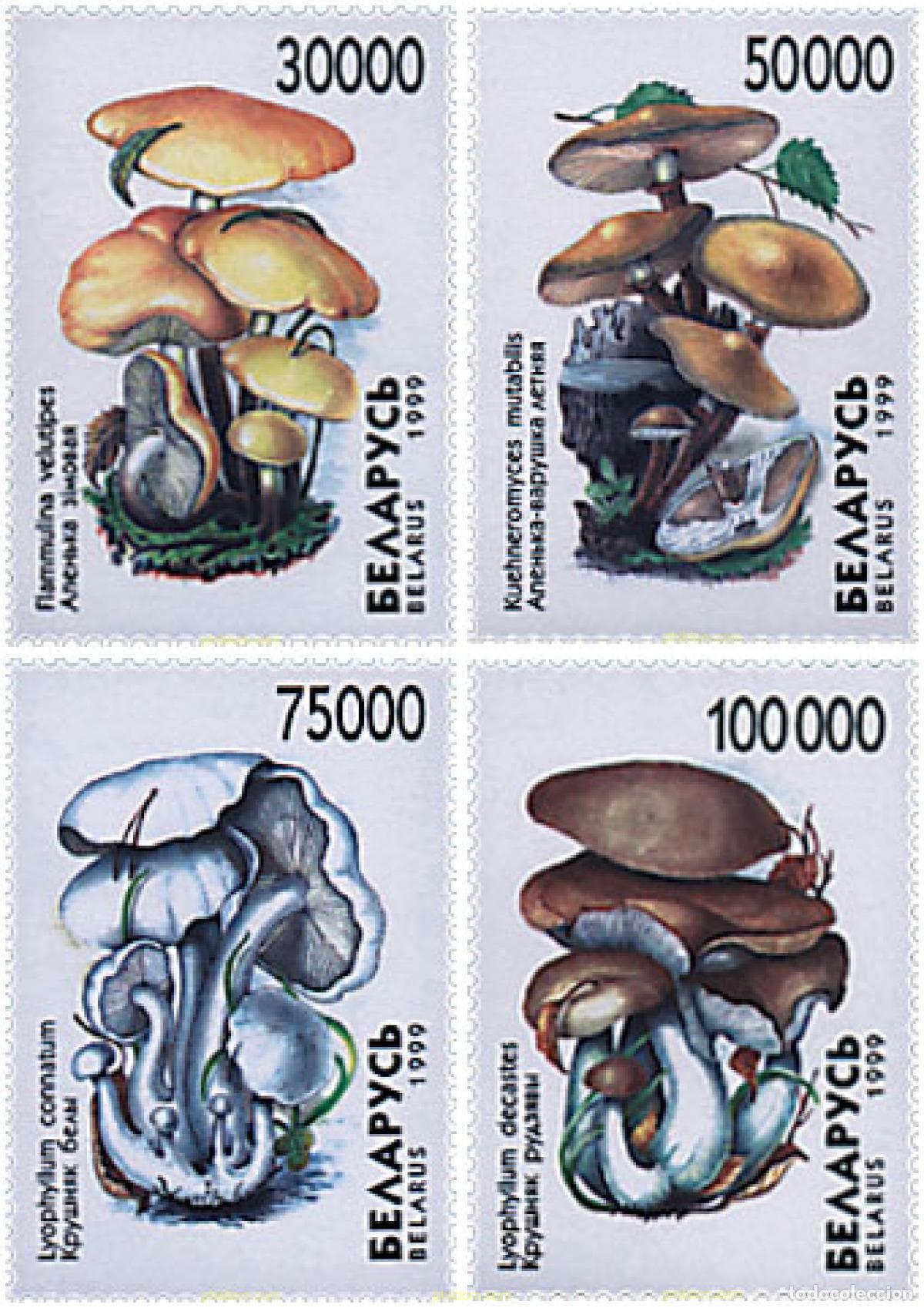 Sellos: 84491 MNH BIELORRUSIA 1999 SETAS