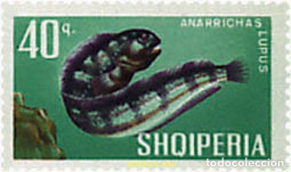 Sellos: 680988 MNH ALBANIA 1967 PECES