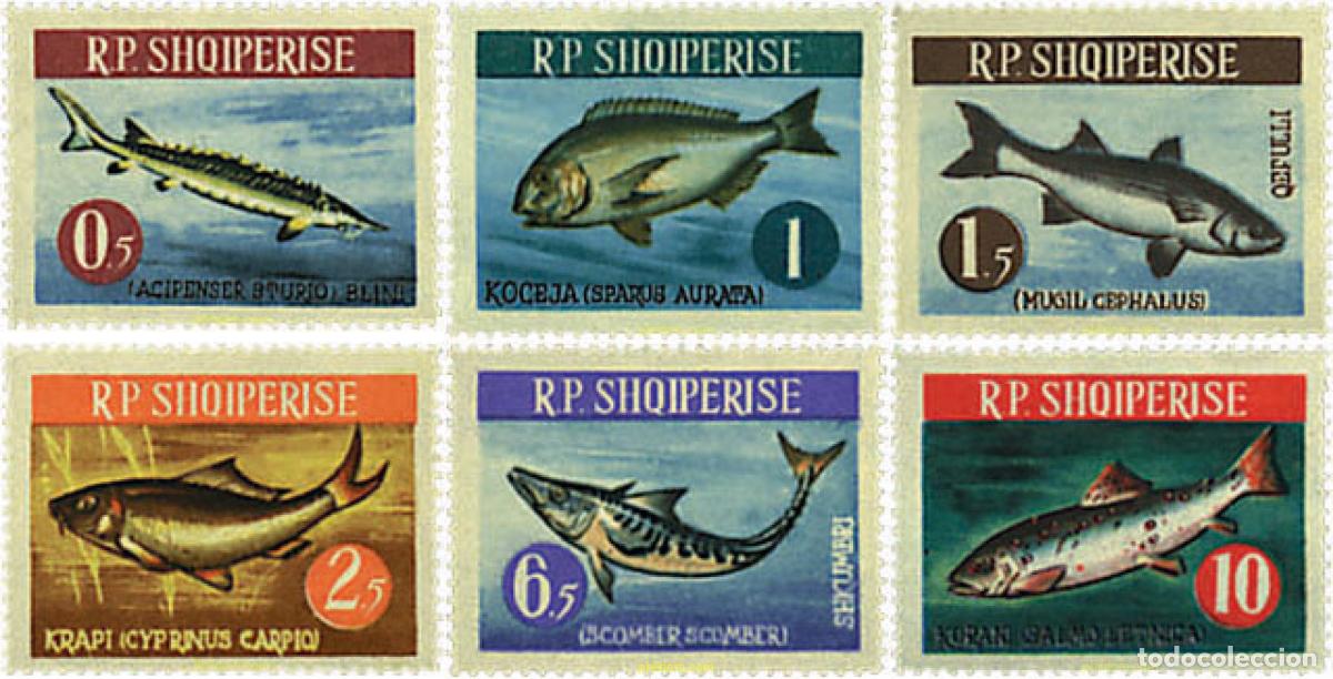 Sellos: 78061 MNH ALBANIA 1964 PECES