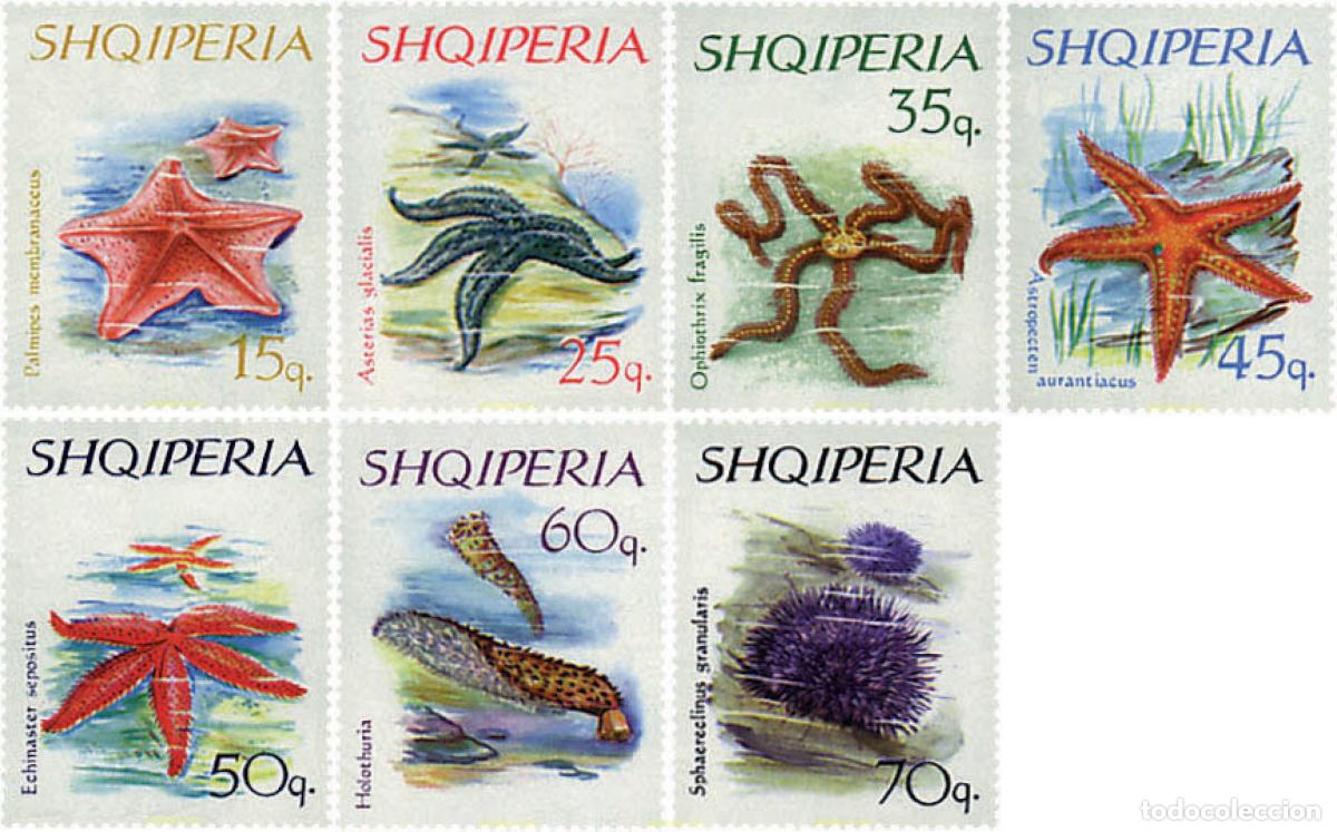 Sellos: 78134 MNH ALBANIA 1966 FAUNA MARINA
