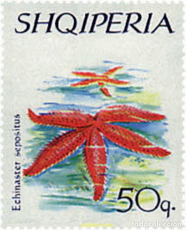 Sellos: 686930 MNH ALBANIA 1966 FAUNA MARINA