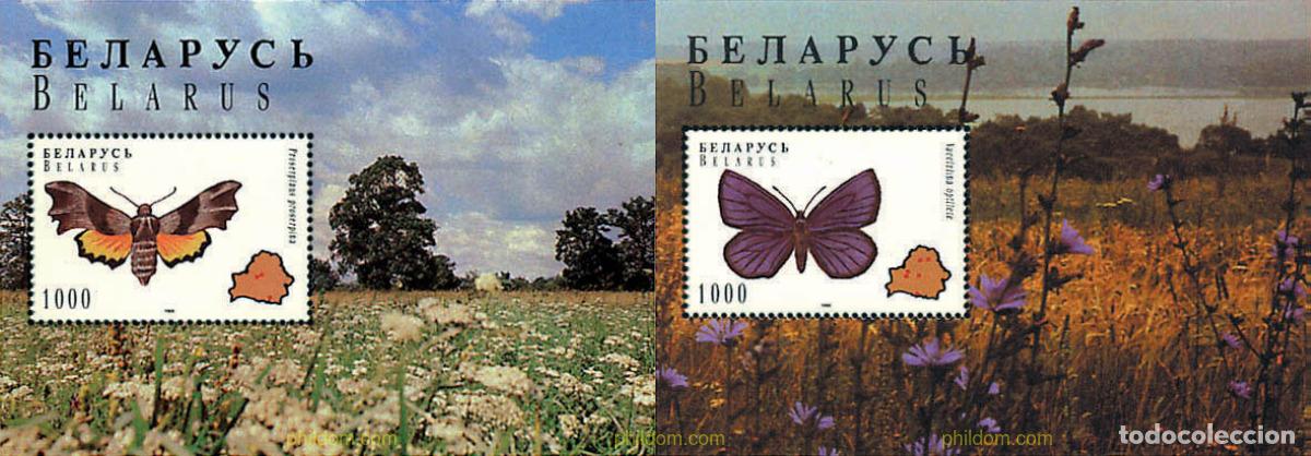 Sellos: 94173 MNH BIELORRUSIA 1996 MARIPOSAS