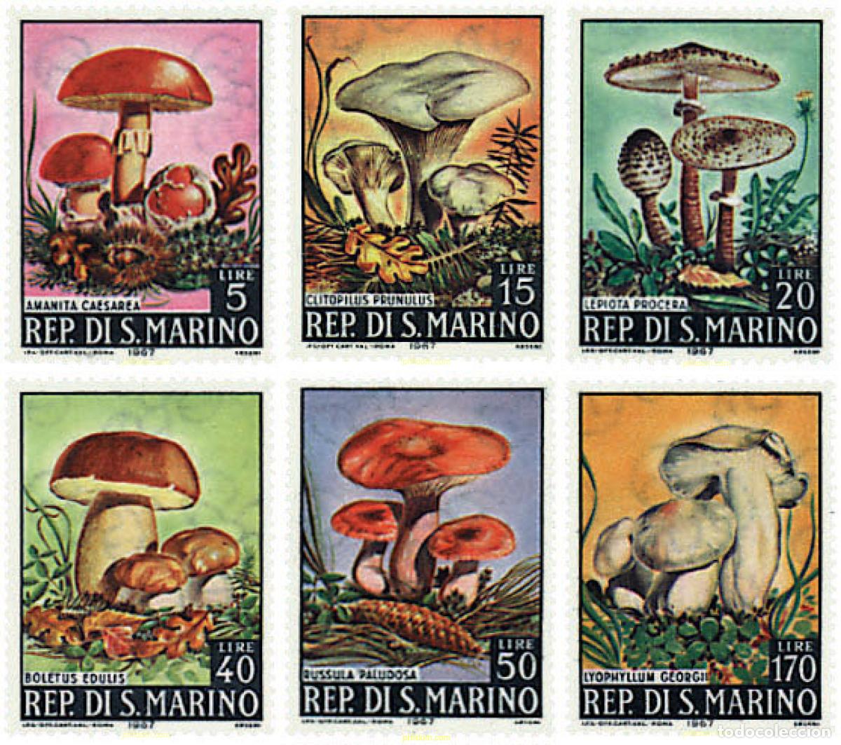 Sellos: 35089 MNH SAN MARINO 1967 SETAS