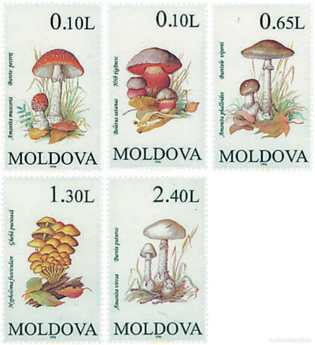 Sellos: 34918 MNH MOLDAVIA 1996 SETAS