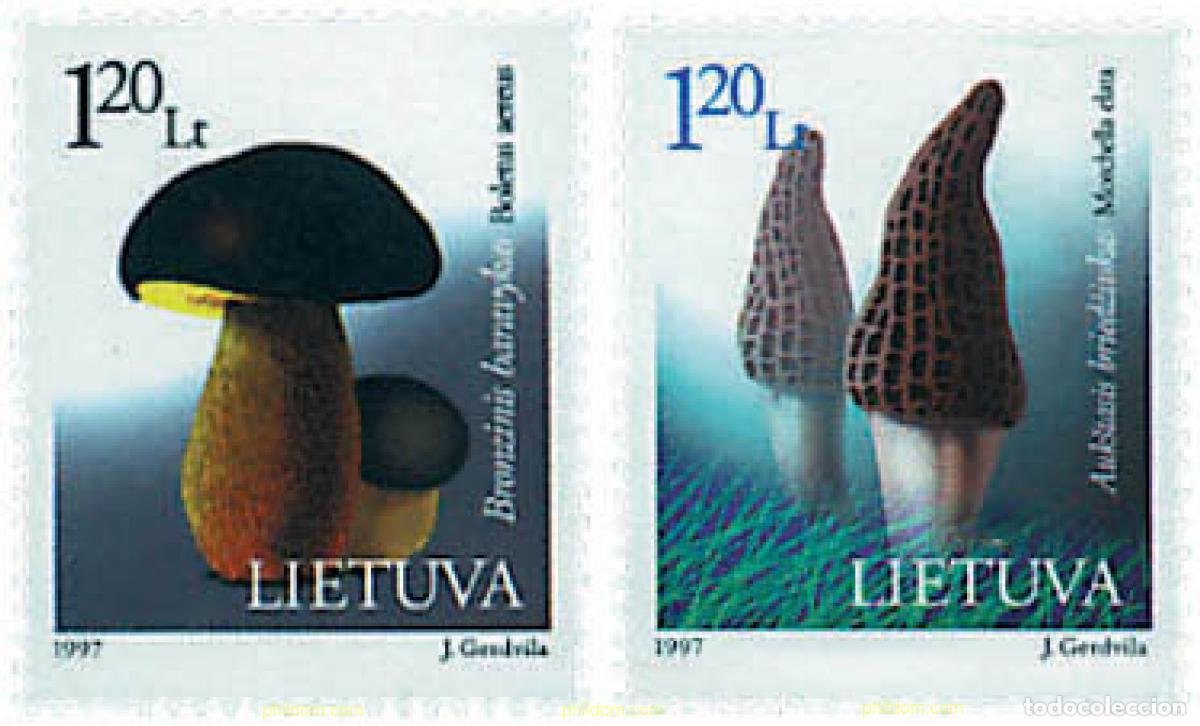 Sellos: 36172 MNH LITUANIA 1997 PROTECCION DE LA NATURALEZA