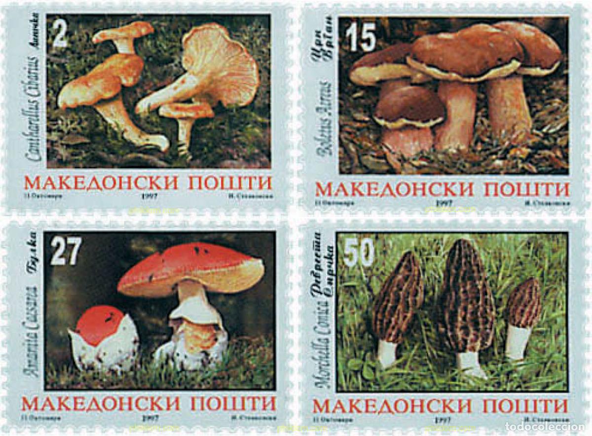 Sellos: 34556 MNH MACEDONIA 1997 SETAS