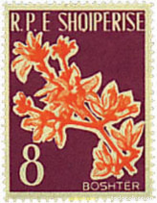 Sellos: 267082 MNH ALBANIA 1961 FLORES
