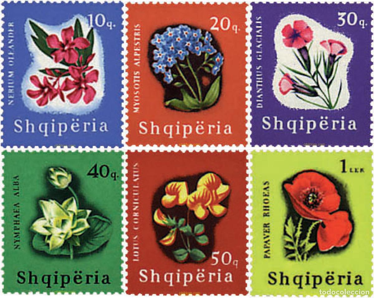 Sellos: 80501 MNH ALBANIA 1965 FLORES DE MONTA&Ntilde;A