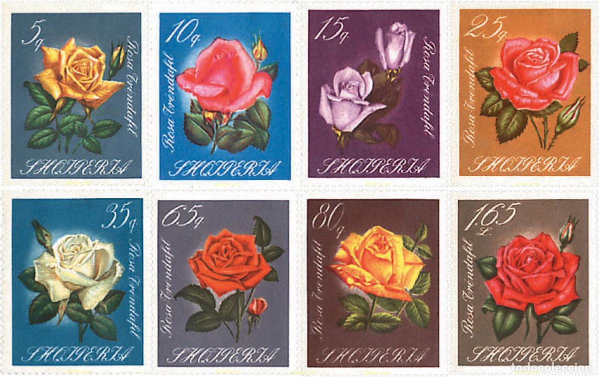 Sellos: 338337 HINGED ALBANIA 1967 ROSAS