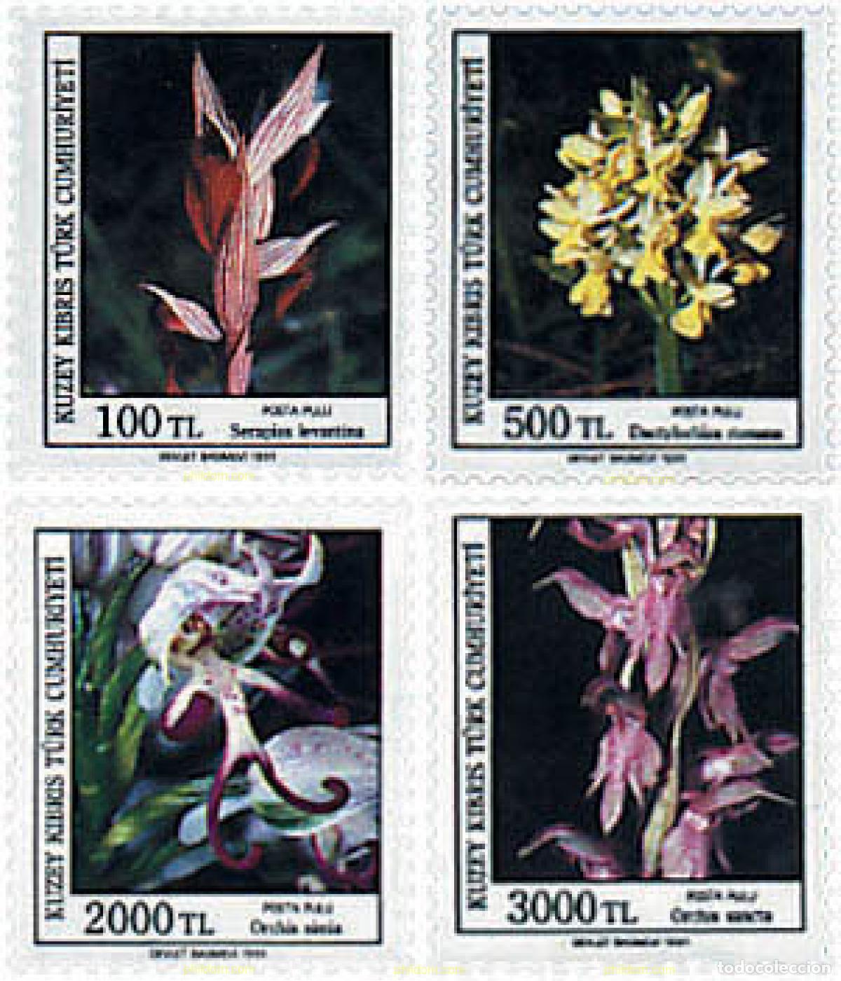 Sellos: 82475 MNH CHIPRE. Administraci&oacute;n turca 1991 ORQUIDEAS