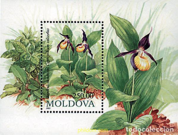 Sellos: 95505 MNH MOLDAVIA 1993 FLORES