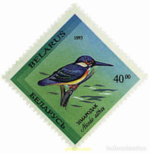 Sellos: 580087 MNH BIELORRUSIA 1994 AVES