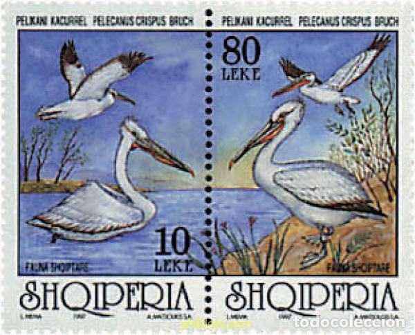 Sellos: 112774 MNH ALBANIA 1997 PELICANOS
