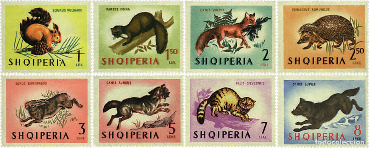 Sellos: 78062 MNH ALBANIA 1964 FAUNA