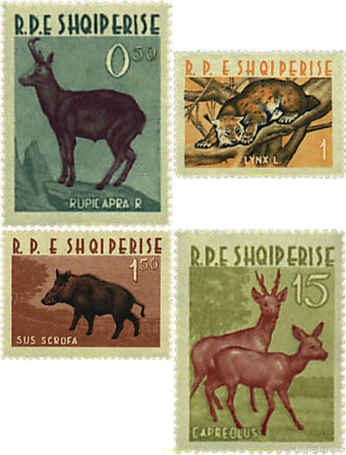 Sellos: 78068 MNH ALBANIA 1962 FAUNA