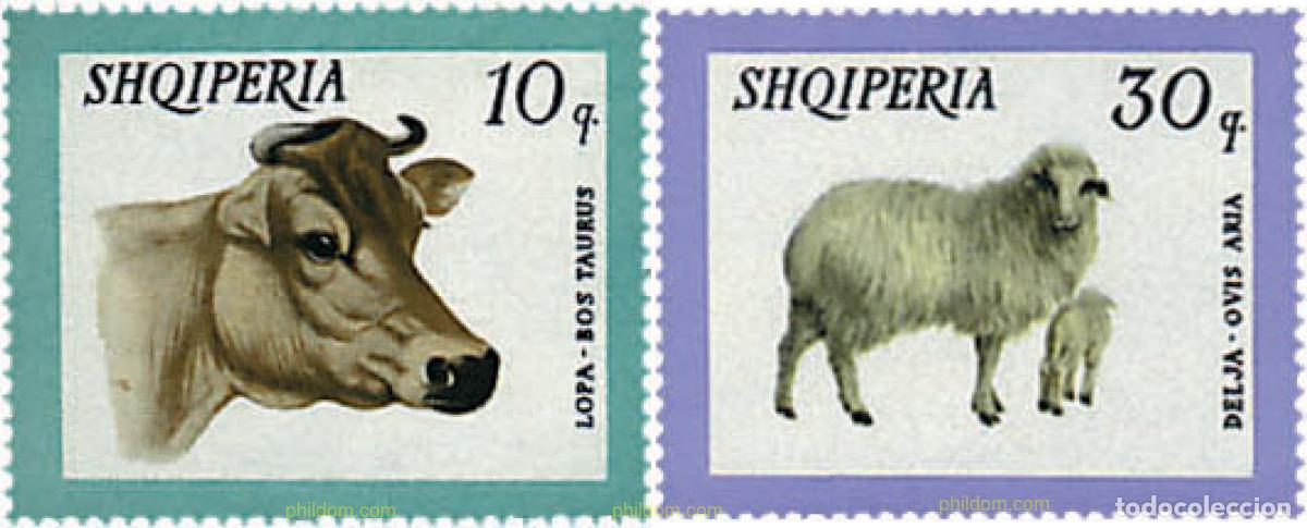 Sellos: 680963 MNH ALBANIA 1966 ANIMALES DOMESTICOS