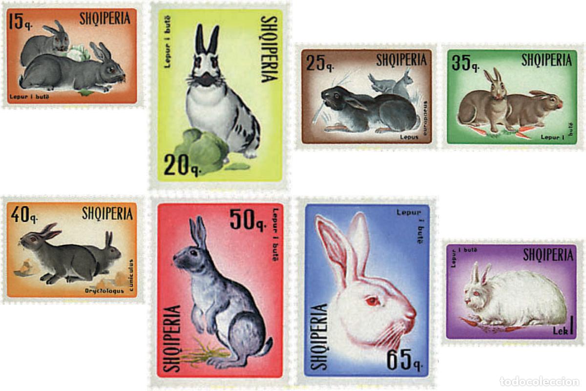 Sellos: 78176 MNH ALBANIA 1967 CONEJOS