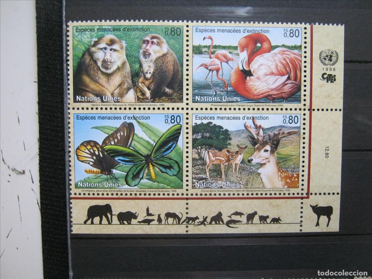 Sellos: NACIONES UNIDAS GINEBRA ONU 1998 SERIE YVERT 349/352 MNH** SIN CHARNELA LUJO.