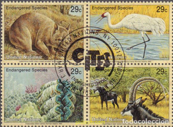 Sellos: 574096 USED NACIONES UNIDAS. Nueva York 1993 PROTECCION DE LA NATURALEZA